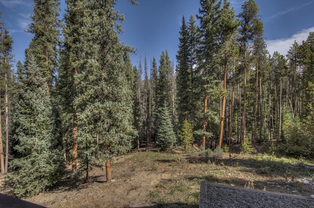Bluesky Breckenridge Διαμέρισμα Εξωτερικό φωτογραφία
